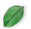 floating_leaf_01 https://allyourneedsrjy.com/wp-content/uploads/2025/07/floating_leaf_01.png
